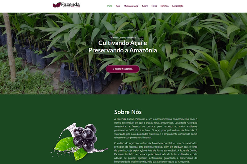 Empresa